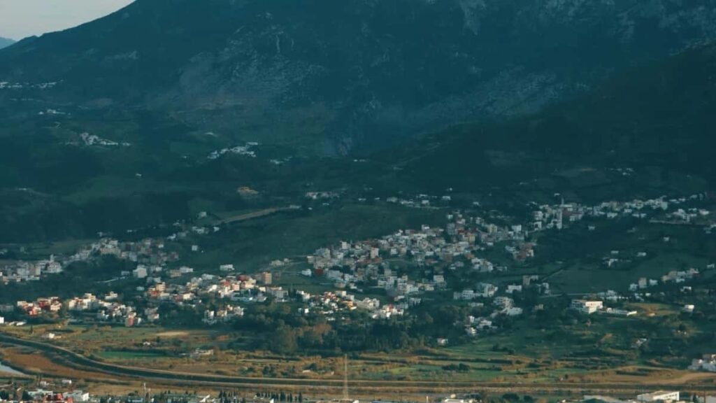 2025 Germany TELEGRAM რეკლამის სრული კატეგორიის ტარიფები