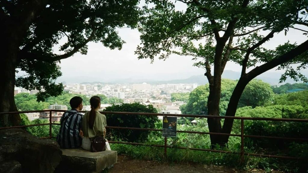 2025 Japan VIBER სარეკლამო ტარიფების სრული კატეგორია საქართველოსთვის