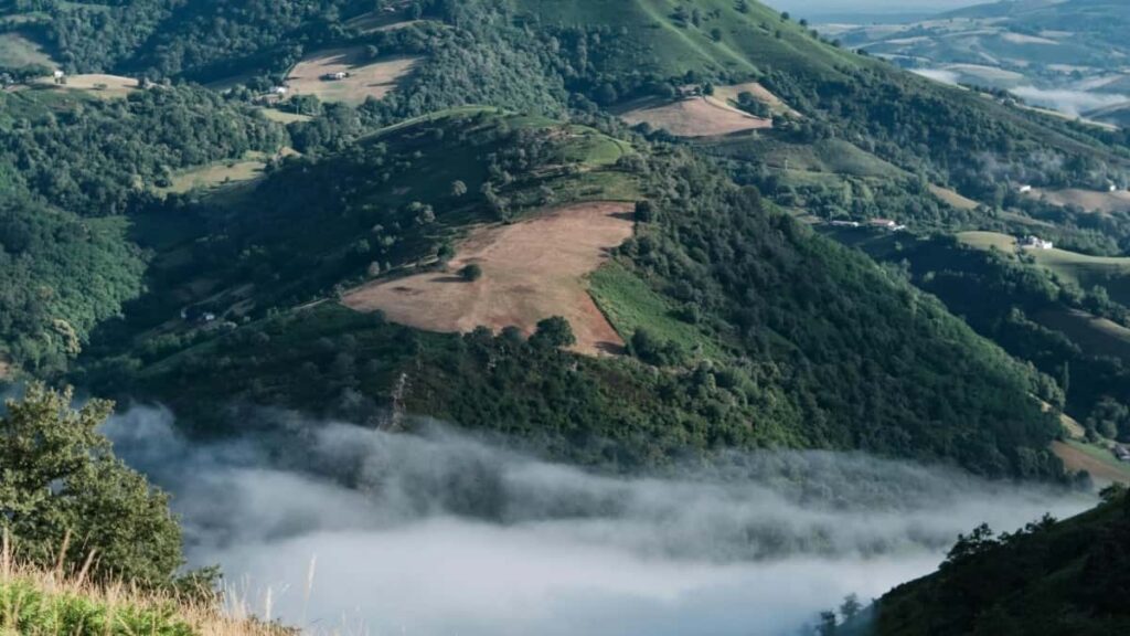 2025 Brazil Messenger სრული კატეგორიის რეკლამის ტარიფები საქართველოში