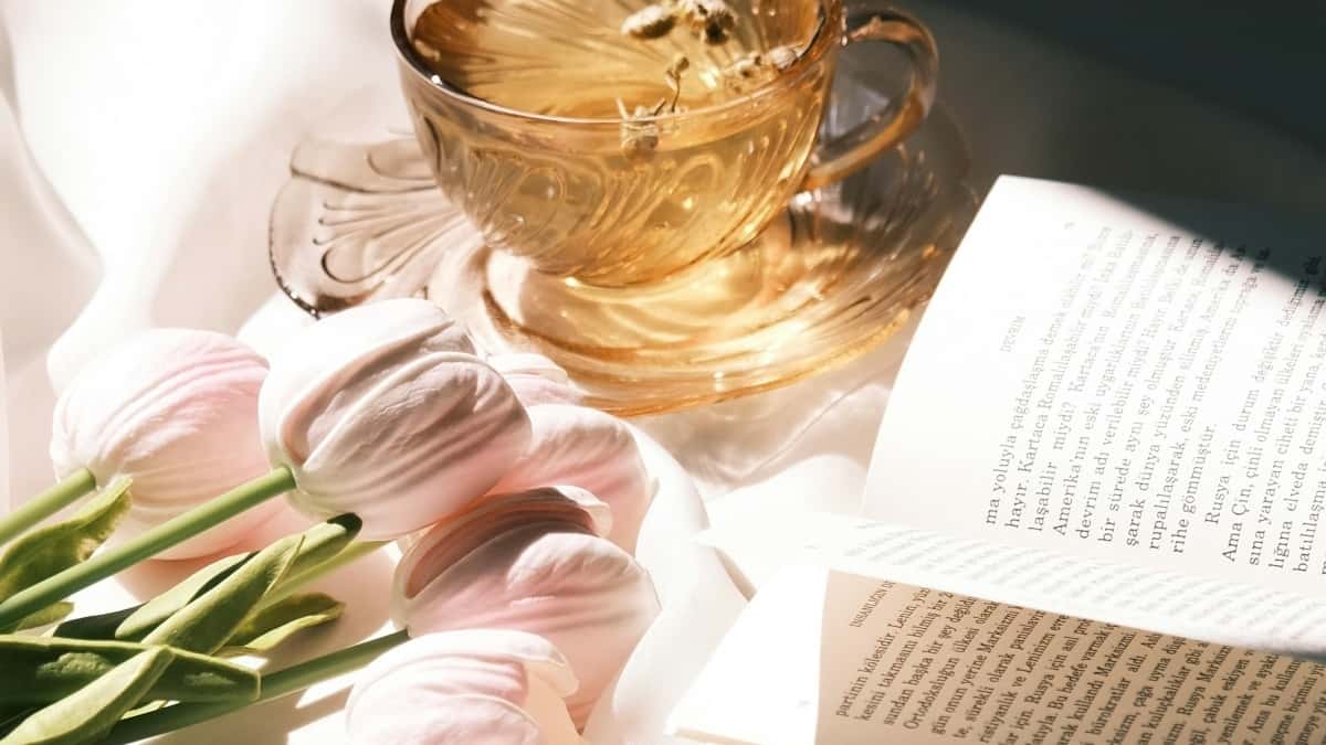 ქართველი შემქმნელები: როგორ მიაღწიოთ ირაკელ ბრენდებს ინსტაგრამზე