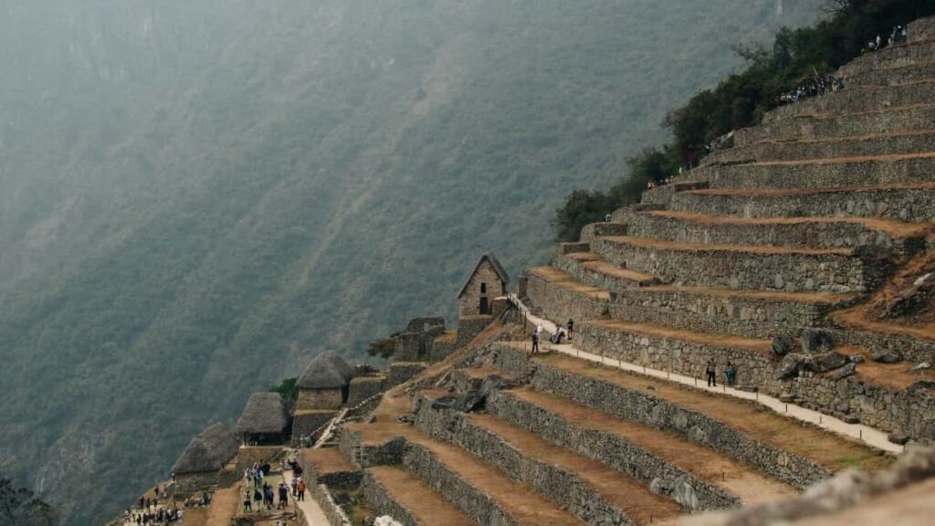 Disney Plus- game publisher .