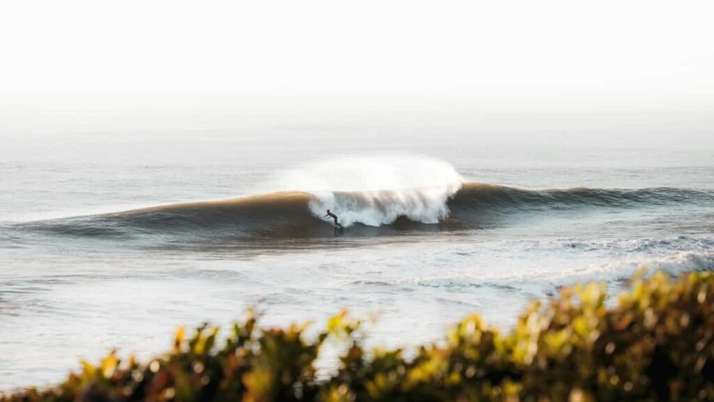 - Telegram- , , Gen Z .