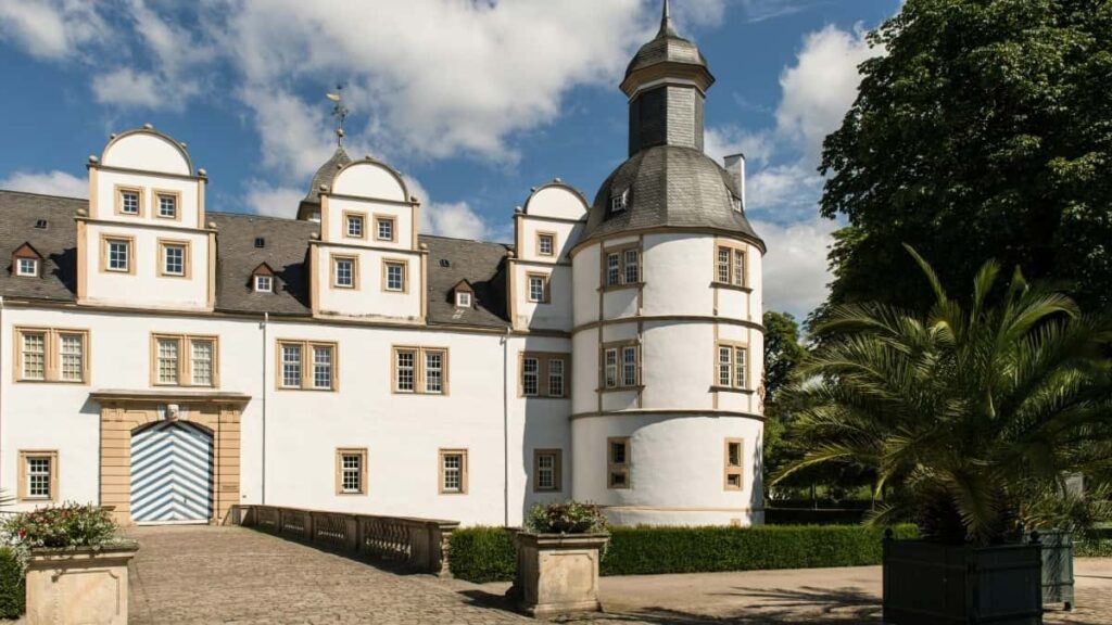 : OnlyFans, giveaway , .