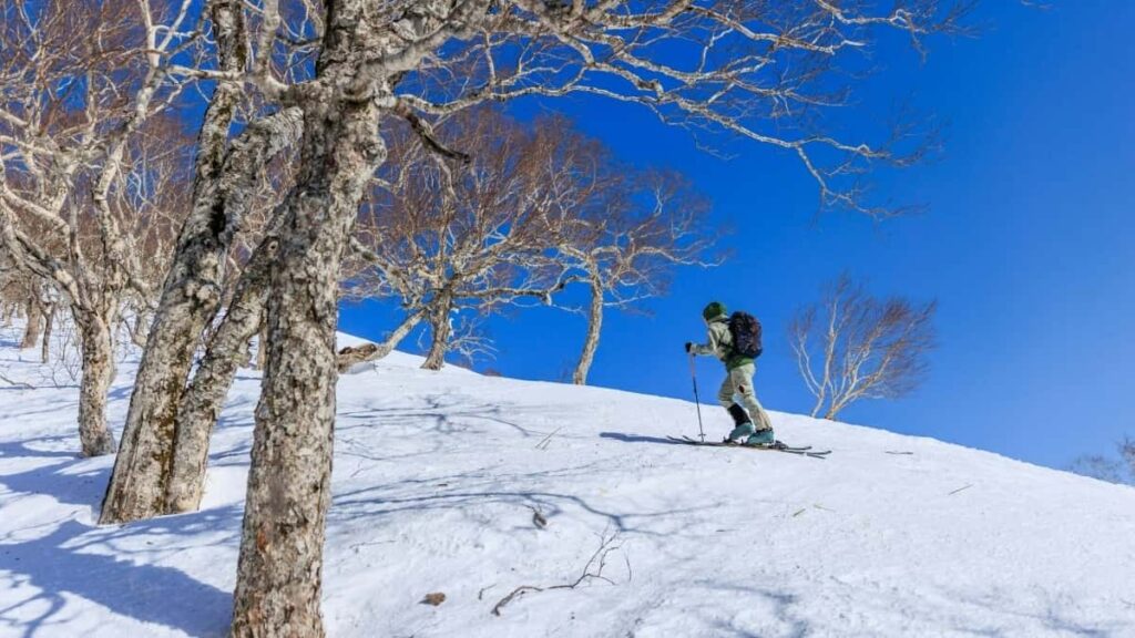 - : Cambodia Shopee-, behind-the-scenes .
