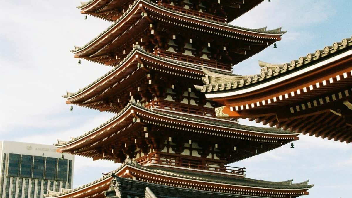 ქართველი შემქმნელების გზამკვლევი: Pinterest-ზე პუერტო რიკო ბრენდეებს როგორ მიაწვდინოთ ხმა